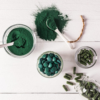 Algae & Seaweed