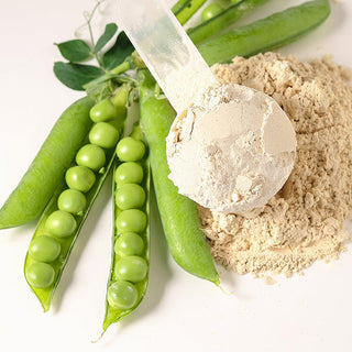 Vegan Protein Powders