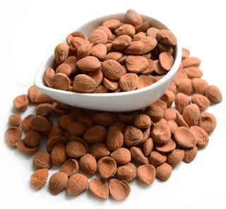 Bulk Apricot Kernels