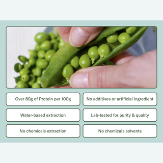 A promotional graphic for pea protein powder featuring a close-up photo of hands holding an open pea pod with green peas inside, set against a pale green background with six white text boxes below highlighting product benefits such as high protein content, no additives, water-based extraction, and lab testing.